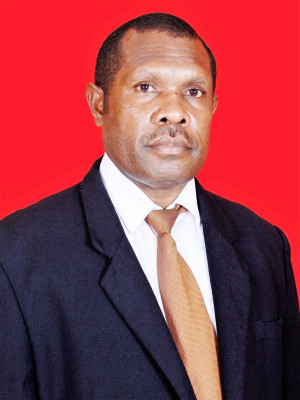 HENDRIK M.NAUSENY,S.IP
